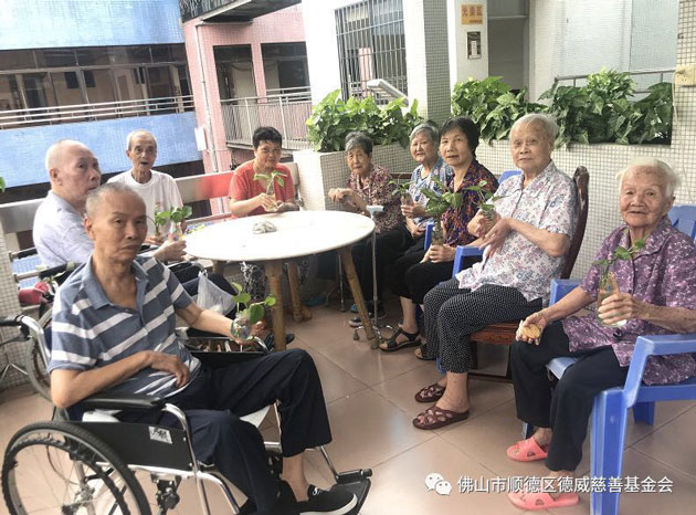 记忆基金3
